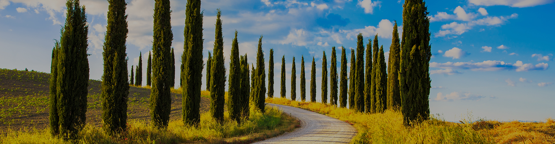 Landmark photograph of Italy