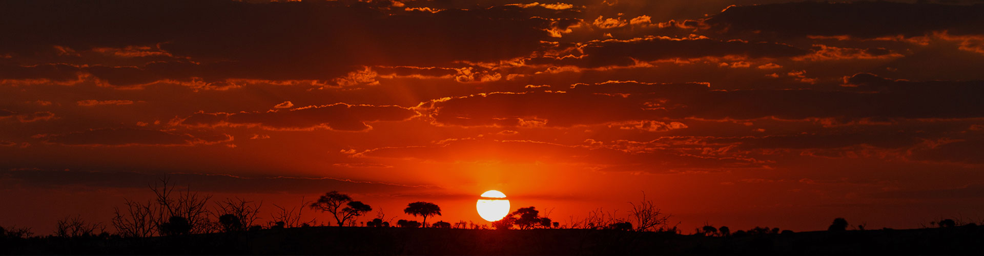 Landmark photograph of Botswana