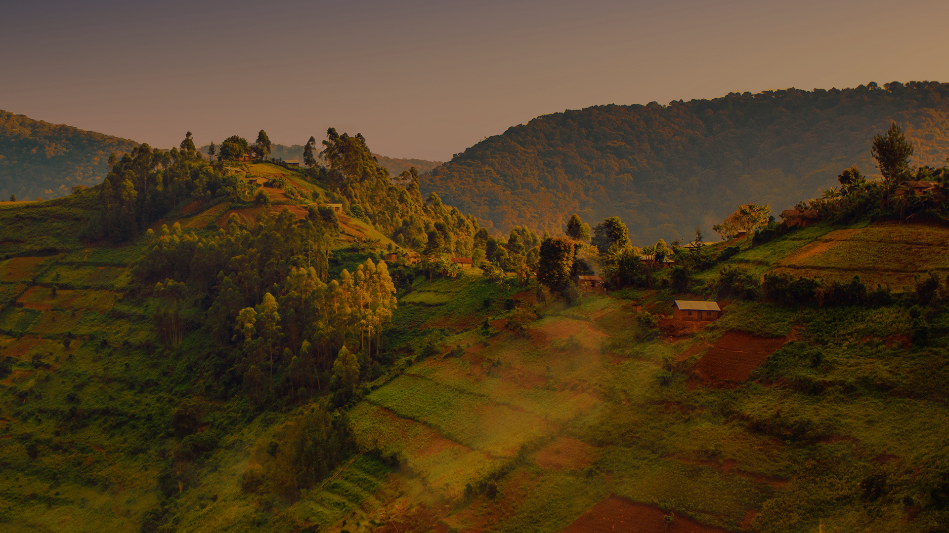 Uganda Travel Visa Expedite your Uganda Visa with